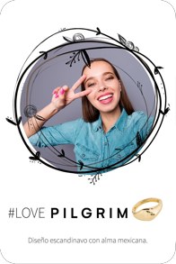 Pilgrim · Aplicación gráfica